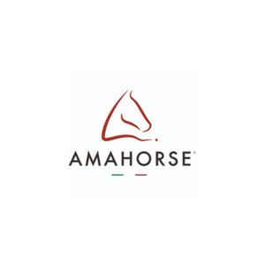 https://bma-groupe.com/wp-content/uploads/2026/07/AmahorseMIyu.png